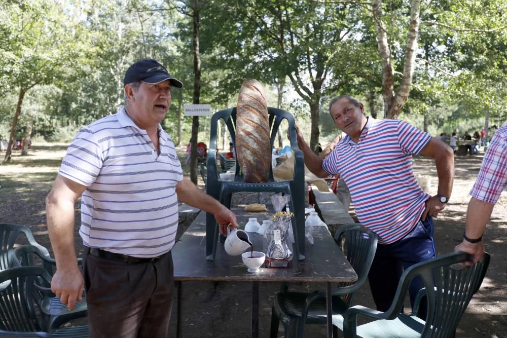 Churrasco, mejillones, sardinas y pulpo hasta empacharse en el parque forestal de Candeán.