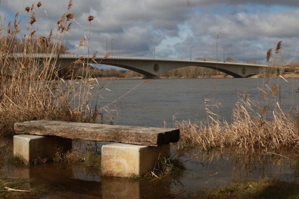 Temporal en Zamora.