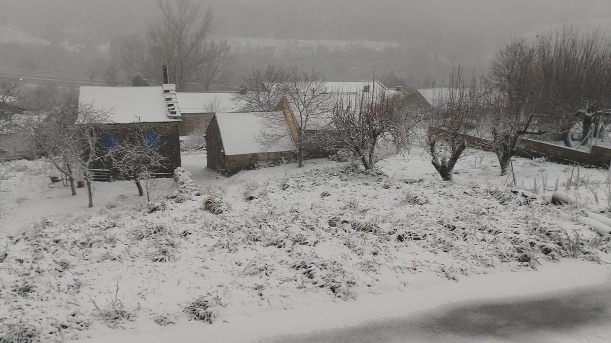 GALERÍA | Llega la nieve a Zamora