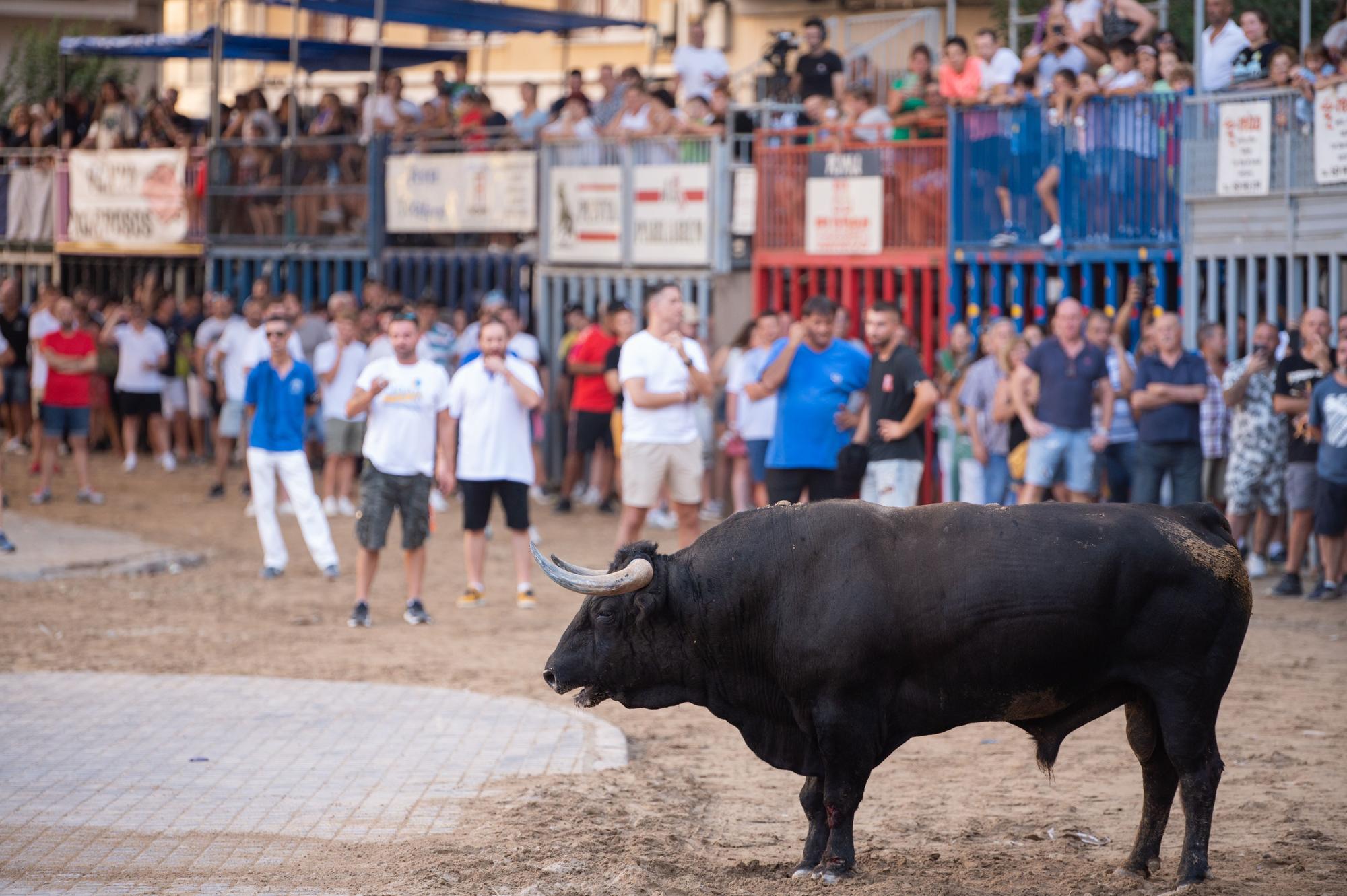 El primer día de fiestas en Burriana en imágenes