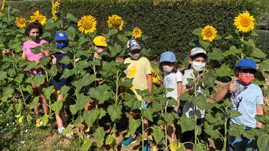 Una de las actividades de educación ambiental en la Granja Escola Jovent.