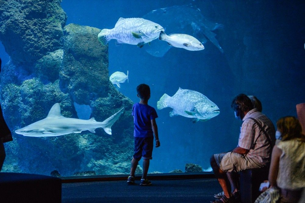 Los turistas visitan el acuario Poema del Mar