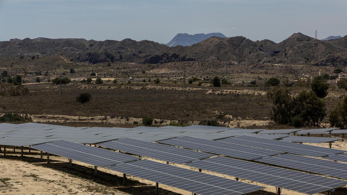 Planta solar levantada en la provincia de Alicante