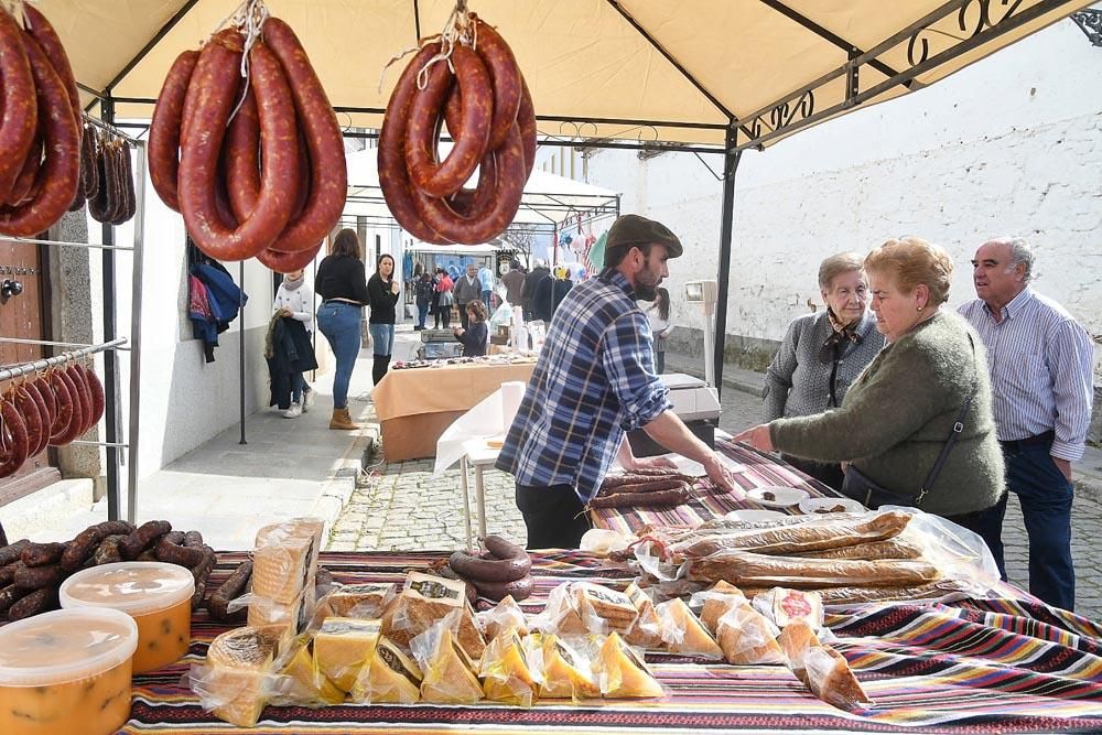 La fiesta de la matanza de Alcarecejos