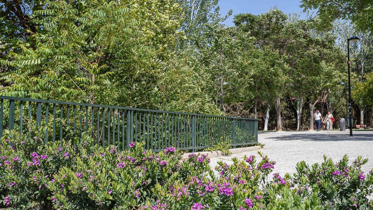 FOTOGALERÍA | Nueva jardinera y accesos mejorados en el parque Glorieta del Esperando