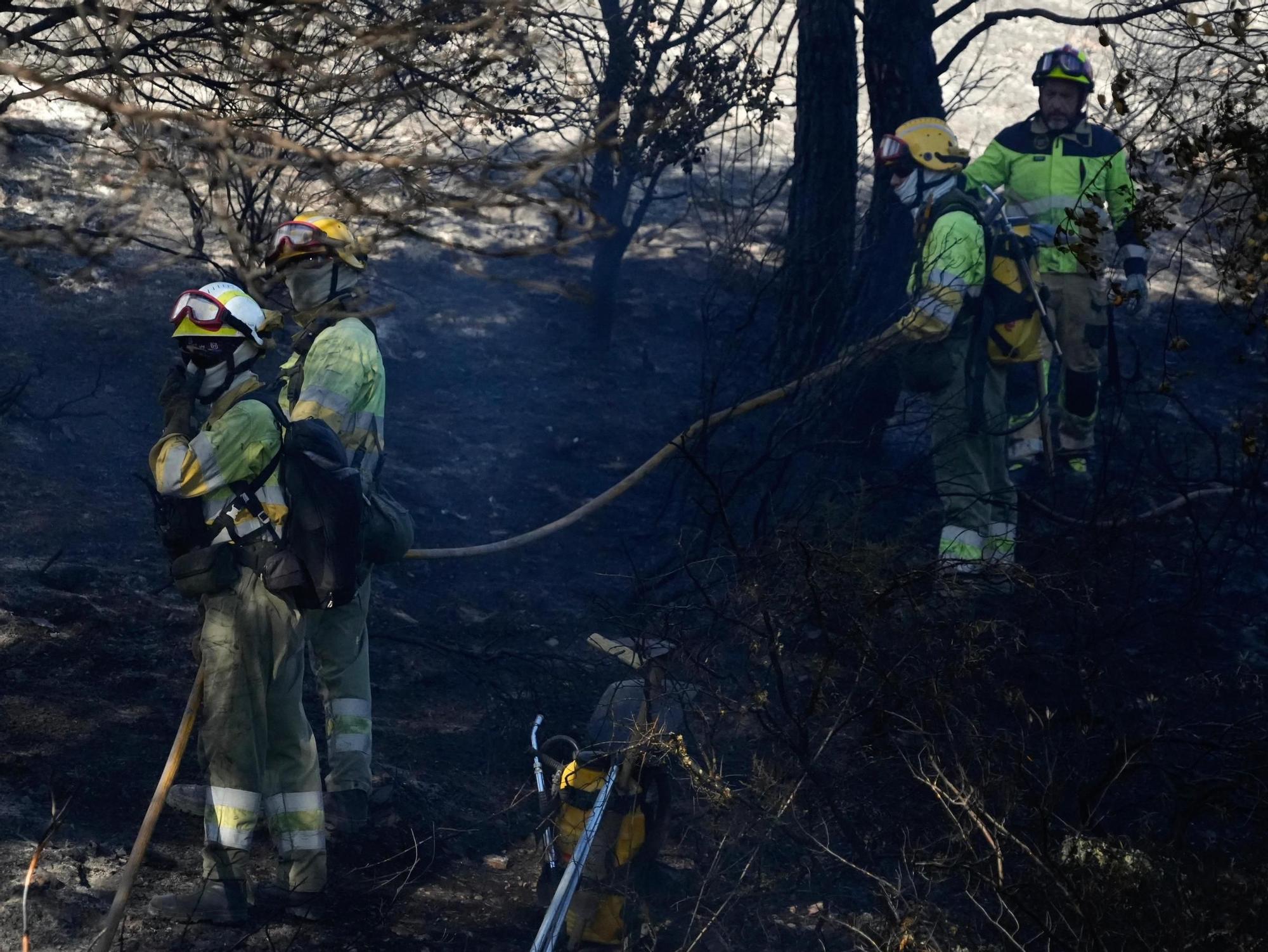 Incendio en el entorno de la Fuente de la Salud de Zamora