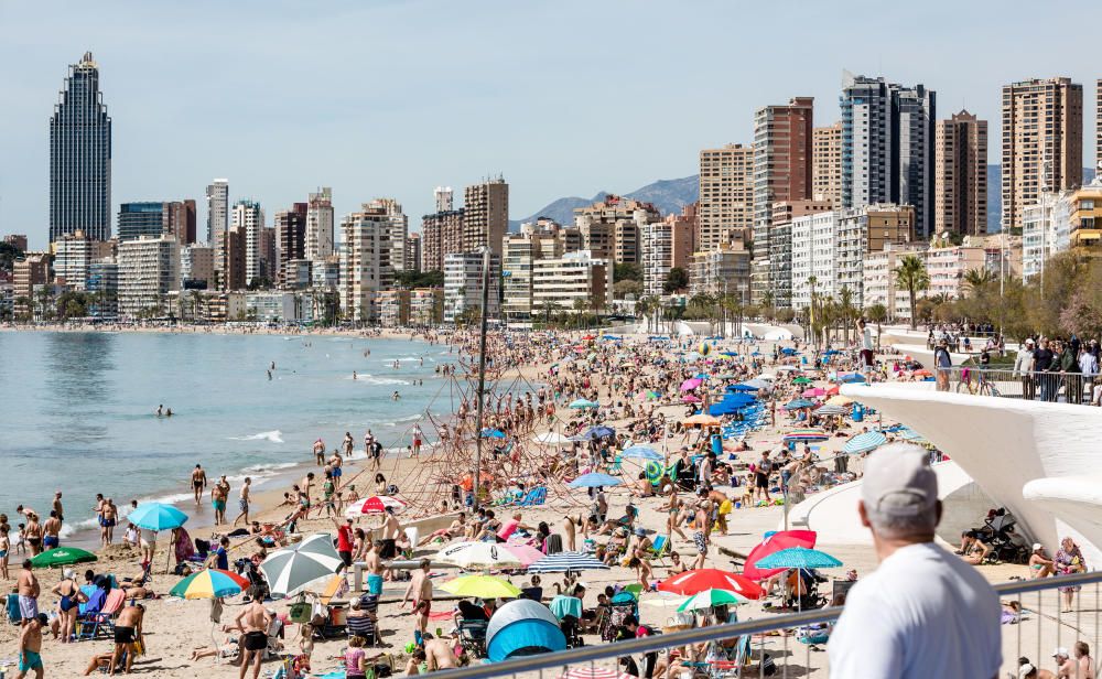 El "Día de La Mona" congrega a más de 125 peñas y 3.000 festeros en Benidorm.