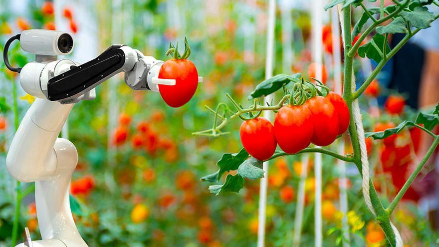 Aplicación de la tecnología en la industria de la alimentación.