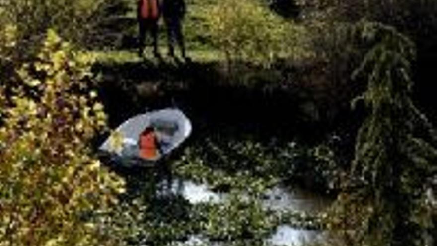 Confederación vacía el cauce del río para retirar el camalote