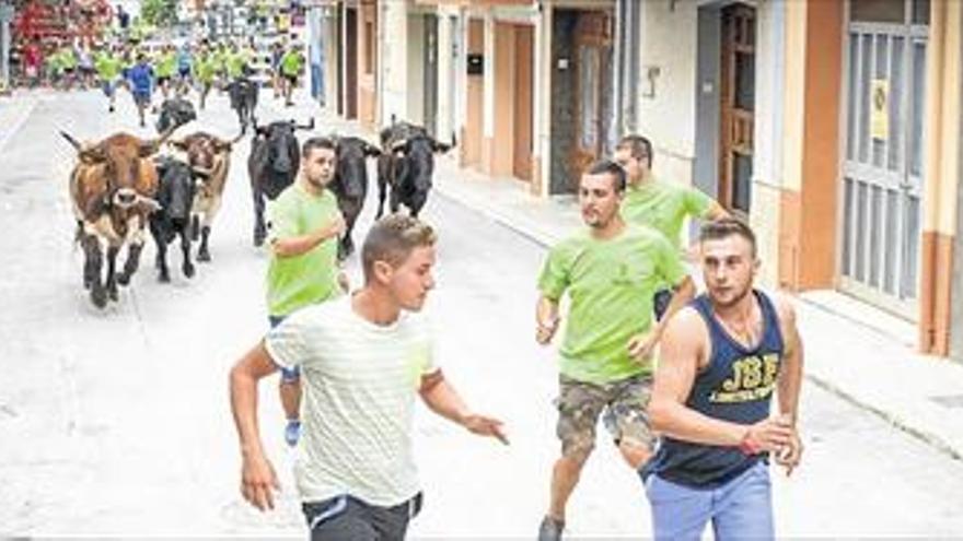 El desfile de carrozas y las exhibiciones de ‘bous’ inundan las fiestas de Traiguera