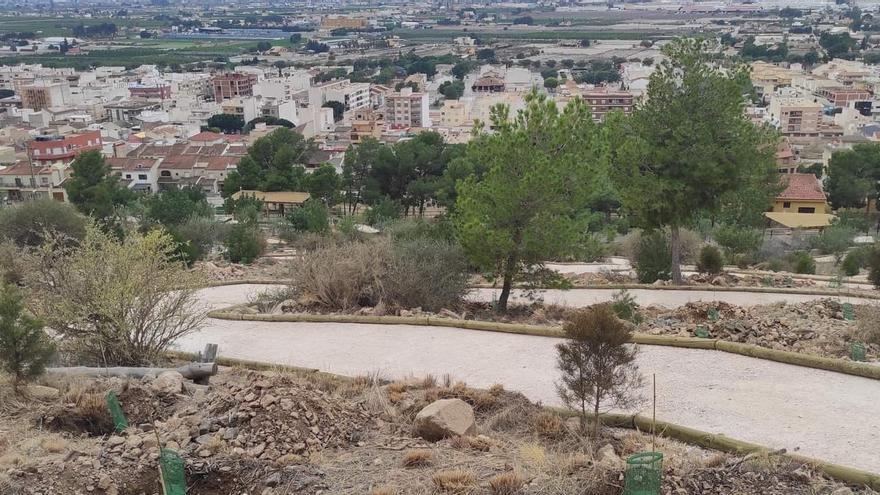 La reforestación de la falda de la Sierra de Redován frenará las avenidas de agua con fuertes lluvias