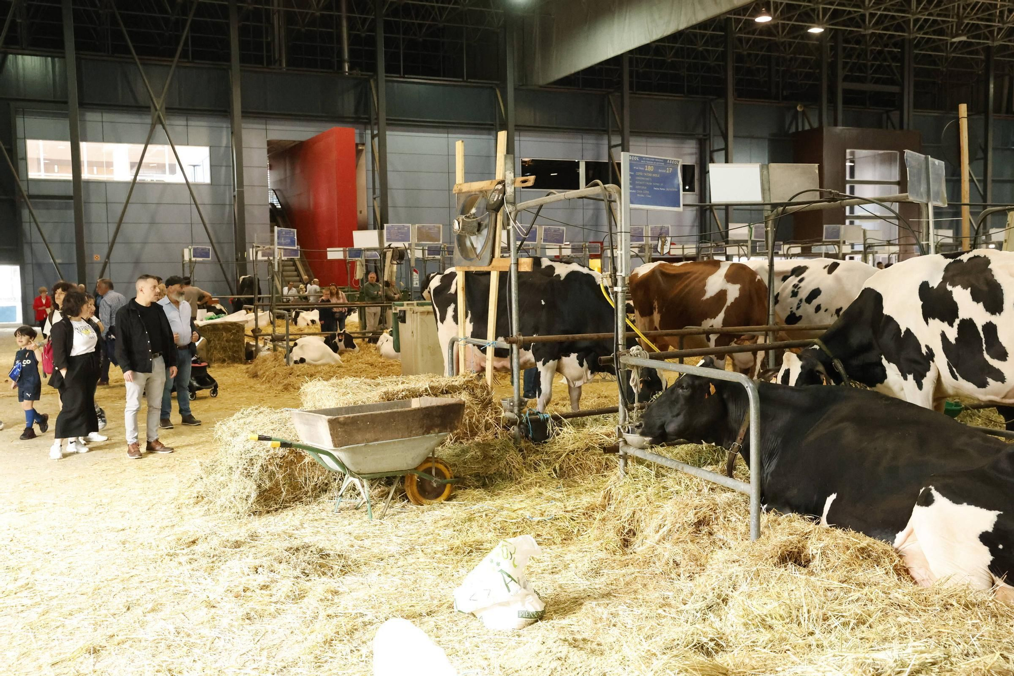 El último día de la Feria de San Antonio en Gijón, en imágenes
