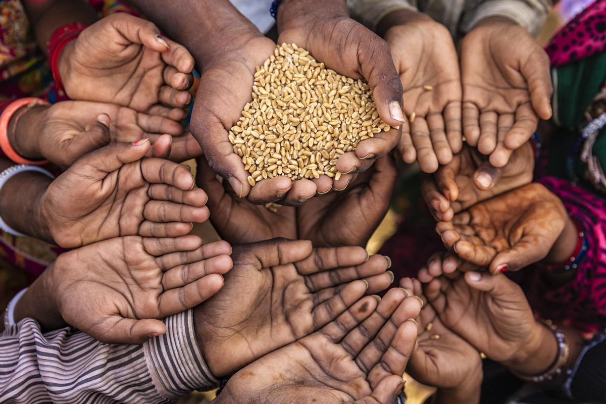 Així amenaça l’alimentació mundial la desaparició dels pol·linitzadors Així amenaça l’alimentació mundial la desaparició dels pol·linitzadors