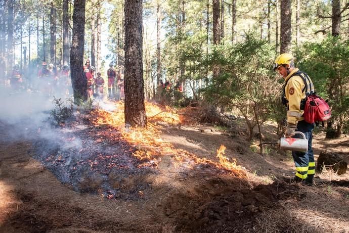 La UME realiza prácticas de prevención de incendios en Gran Canaria