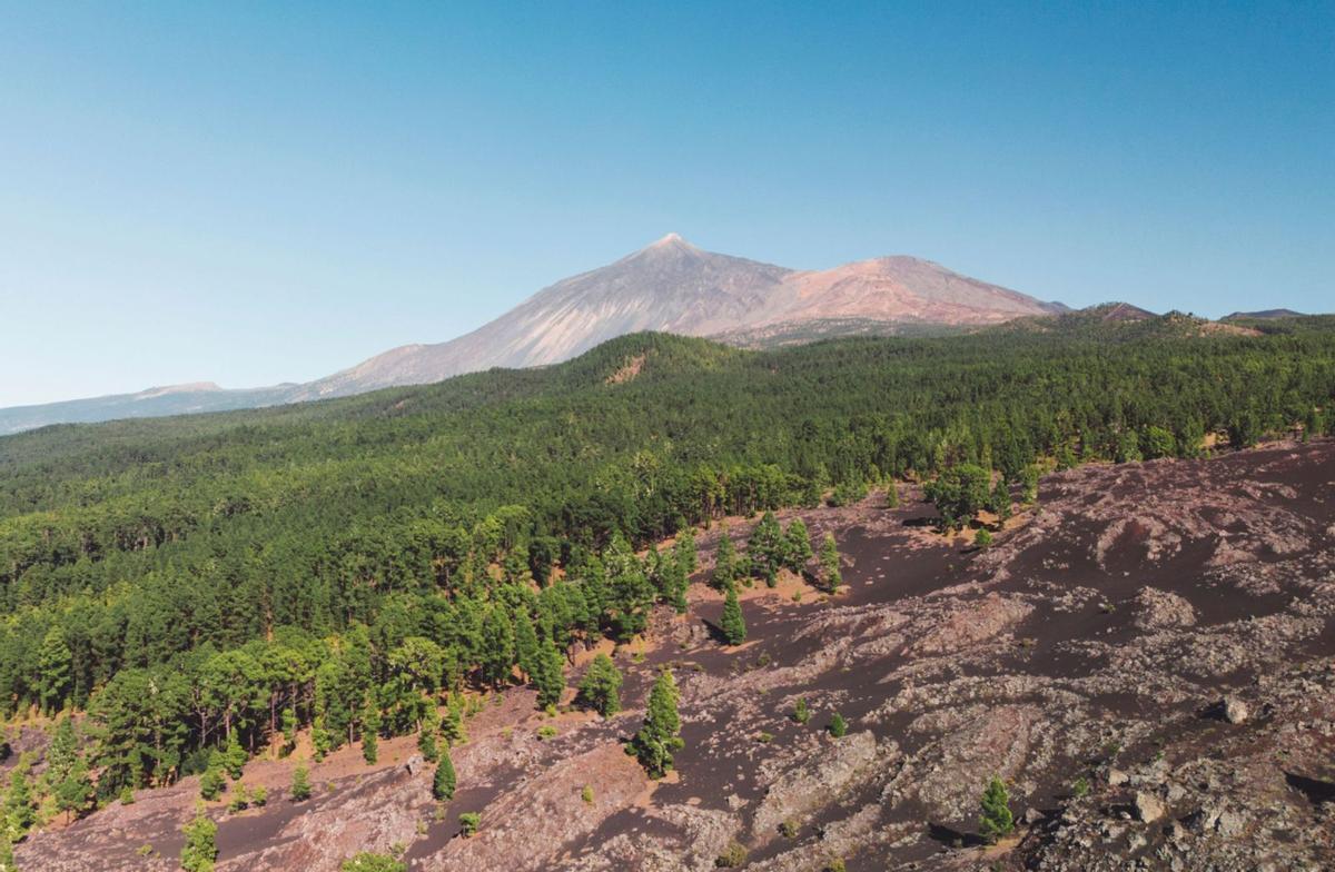 Vista panorámica del Teide. |  | ED/LOT