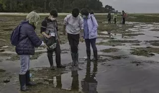 Outes lidera dous programas de economía circular e innovación educativa nos que participan 9 países