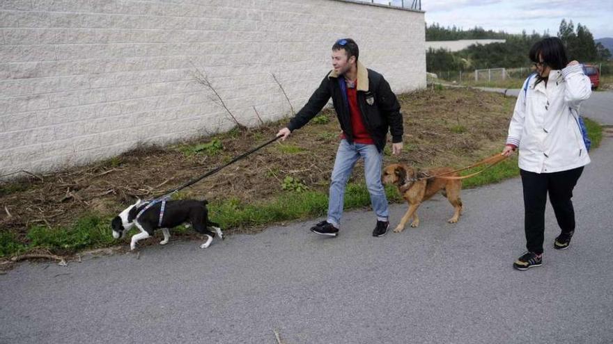 Voluntarios pasean algunos de los animales acogidos en el albergue municipal de Pinar do Rei. // Noé Parga