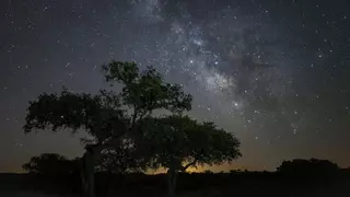 Cuatro rutas ‘Starlight’ para ver las estrellas bajo el cielo de Los Pedroches este verano