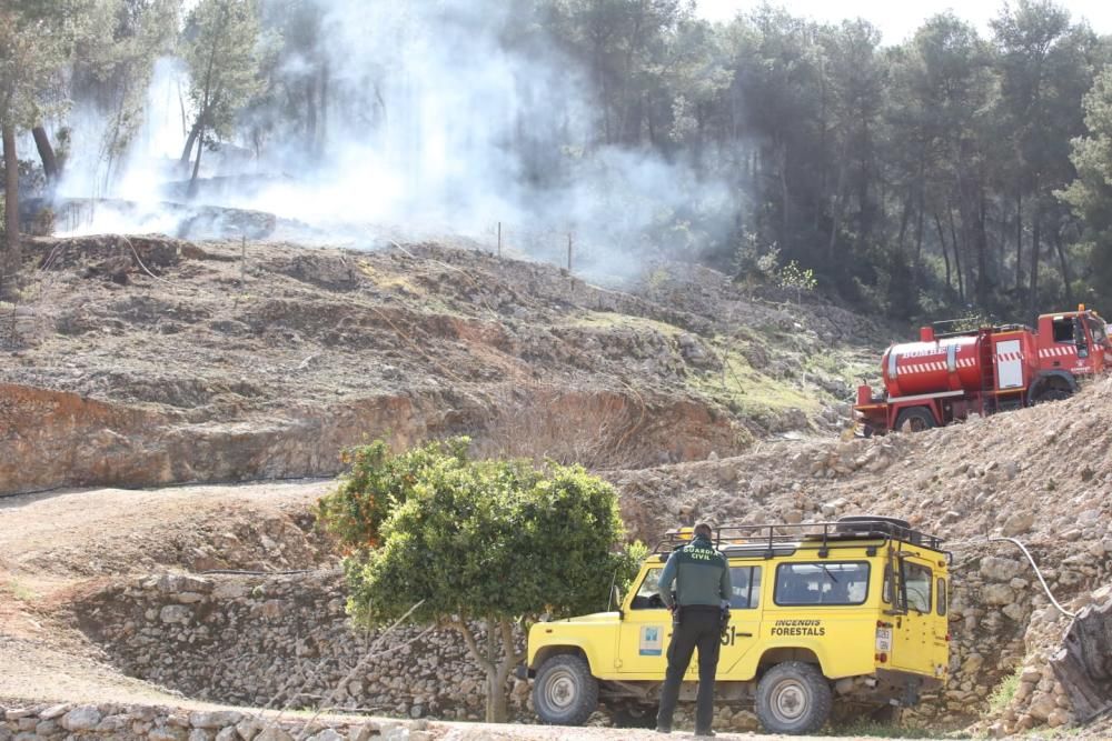 Incendio forestal en Sant Antoni