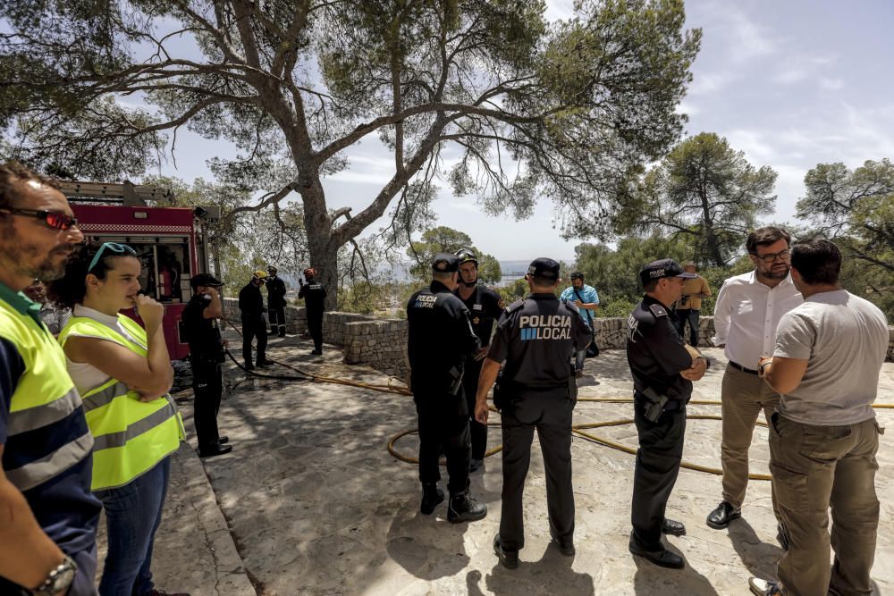 Incendio en el bosque de Bellver