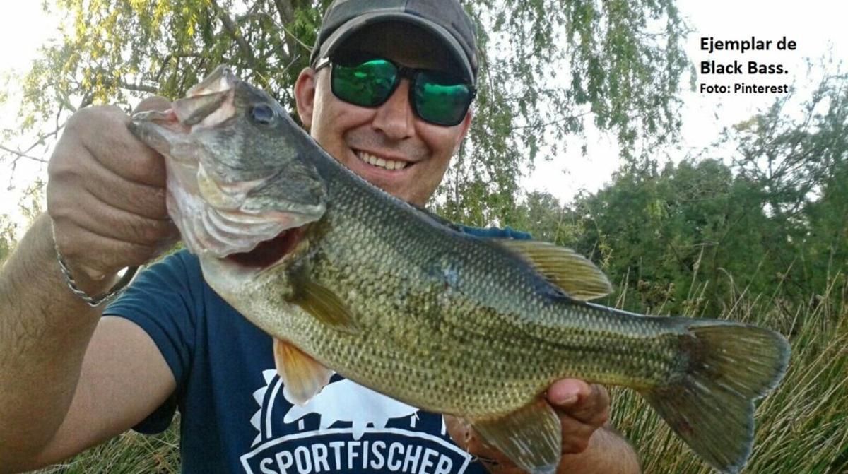 El río Guadalquivir ya tiene más peces exóticos que autóctonos