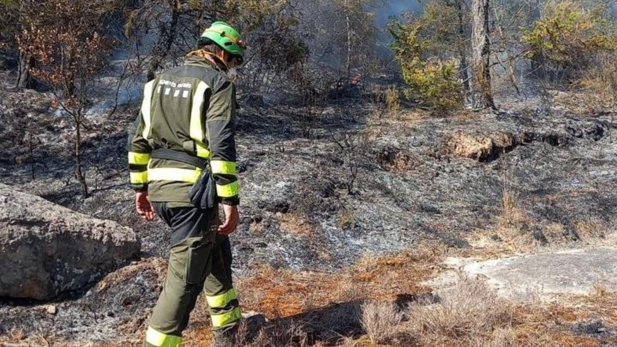 Els Bombers han treballat amb cinc dotacions terrestres i una aèria, a Gaià