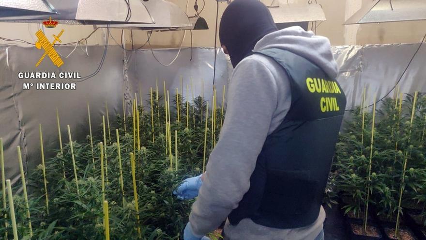 Un agente de la Guardia Civil inspecciona el habitáculo donde el matrimonio tenía 298 plantas de marihuana.