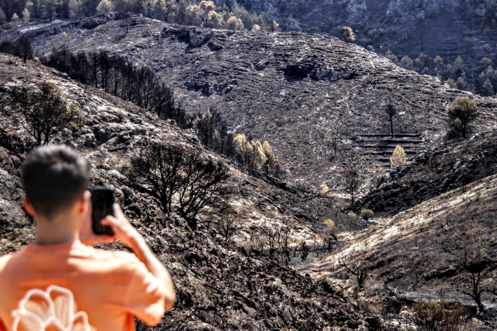 Así está el Vall d'Ebo un año después del incendio