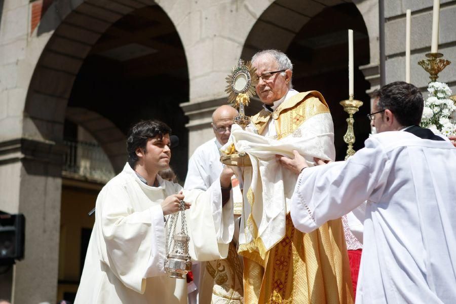 Así ha sido el Corpus 2016 en Zamora