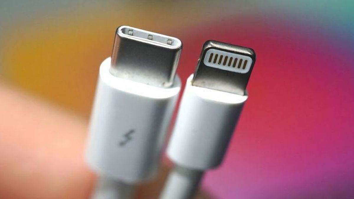 Una entrada USB C y otra 'lightning'.