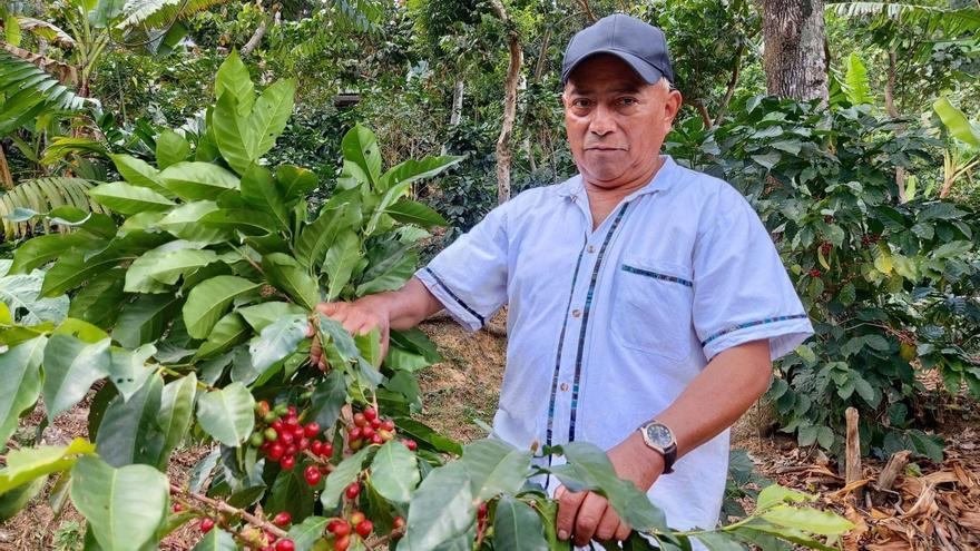 Los 27 adoptan la limitación de importaciones de productos como café, madera o soja si contribuyen a la deforestación