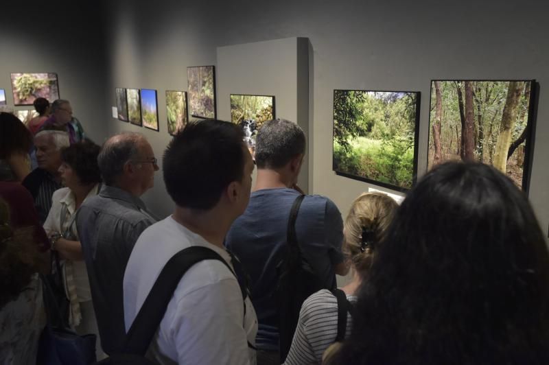 Presentación de libro y exposición sobre la lauris