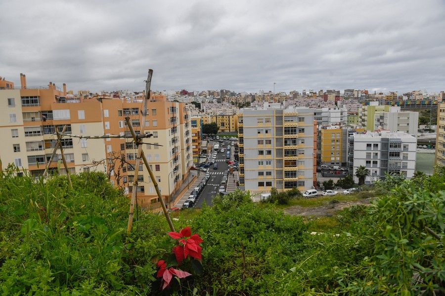 Meteorología en Las Palmas de Gran Canaria y Santa Brígida el 3 de febrero de 2021