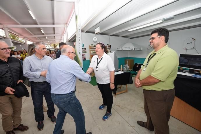 Feria Ecológica de Gran Canaria