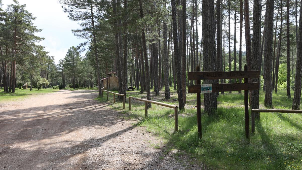 El Consell ya permite acampar de nuevo en la zona del Planàs, en el parque natural del Penyagolosa.