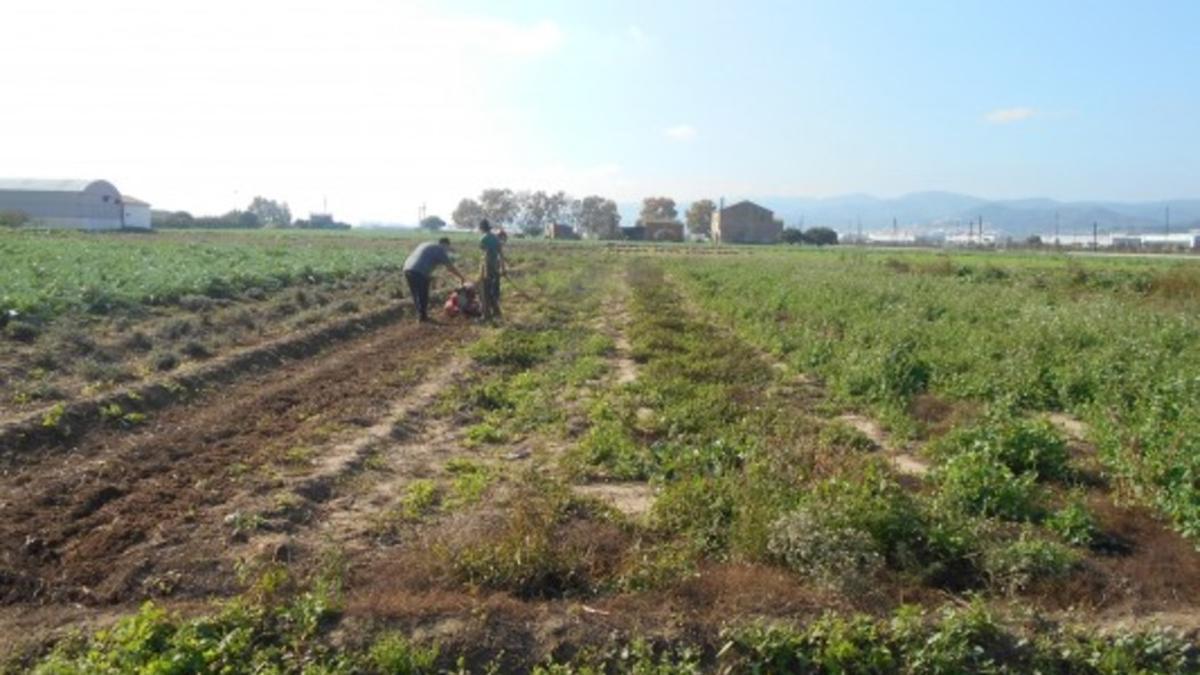 Finca de la entidad DESOS Opción Solidaria.