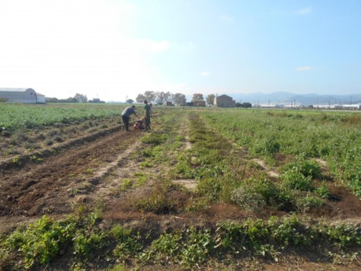 Finca de l’entitat DESOS Opció Solidària.