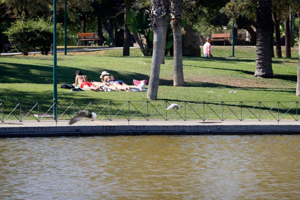 El PSOE critica que el fondo del lago grande del parque de Huelin lleva más de un año sin ser limpiado y el resto del parque está en mal estado.
