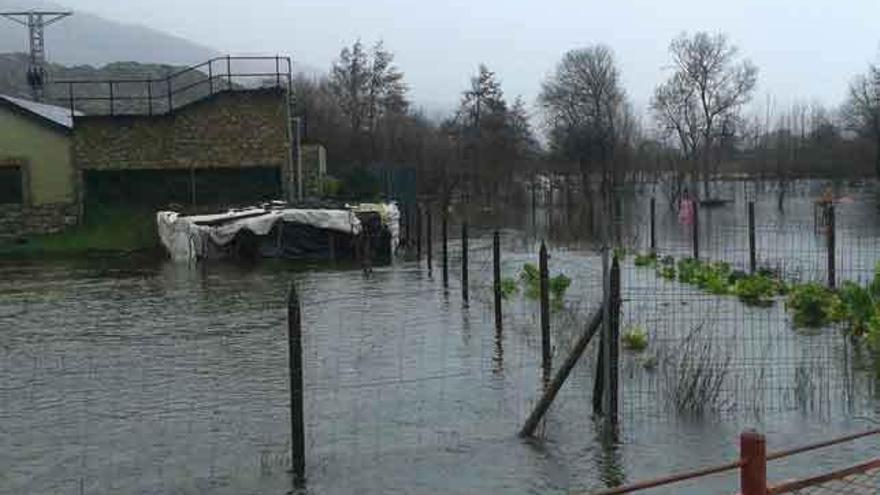 Las abundantes lluvias en la comarca provocan la crecida del Tera en Ribadelago