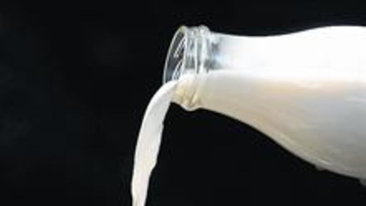 La leche semidesnatada de Mercadona la mejor del mercado según la OCU