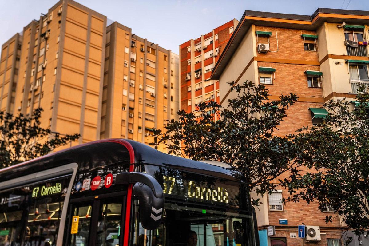 Sant Ildefons, el barrio de Estopa