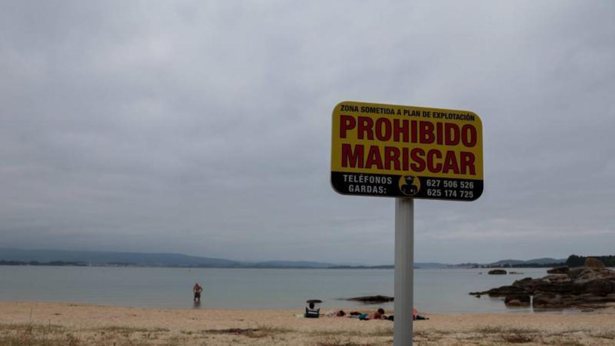 Uno de los carteles que prohíbe mariscar situado en la playa de O Bao.