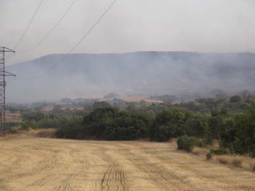 Incendio en los alrededores de Andorra (Teruel)