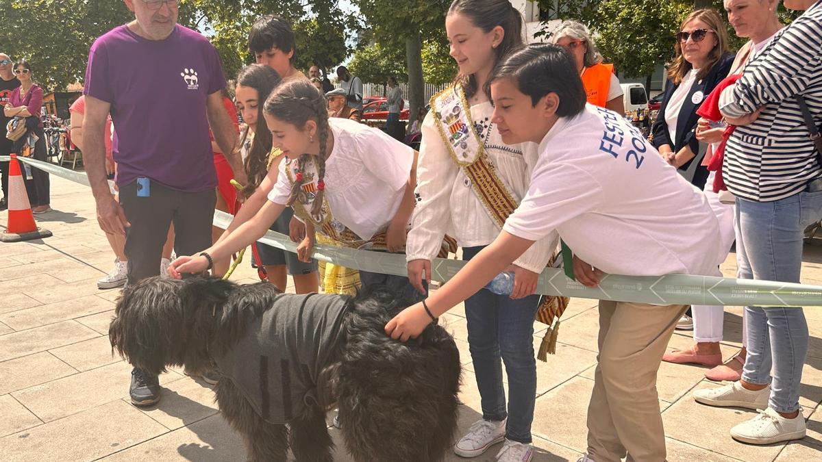 El evento ha contado con el apoyo de festeras, autoridades y vecinos en general.