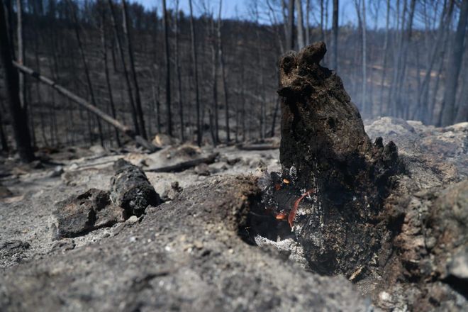 Las consecuencias del incendio de Bejís en Teresa