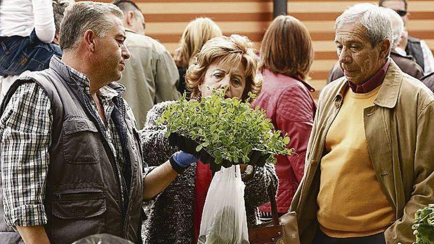 Un hombre muestra unos plantones en el mercado de Avilés a una mujer interesada.