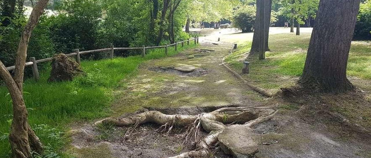 Hundimientos en la senda en torno a la Fuente de los Ángeles.