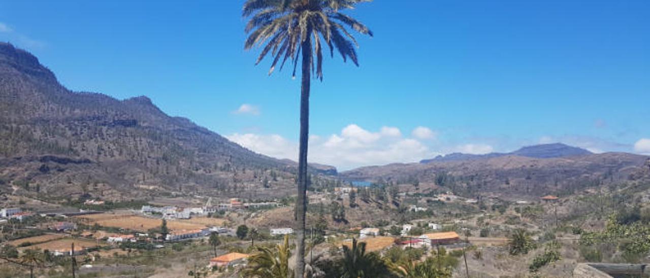 Vista general del pueblo de Cercados de Araña.