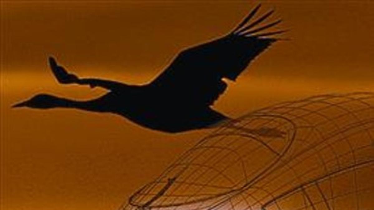 Biomimesis, emulación inteligente_MEDIA_2