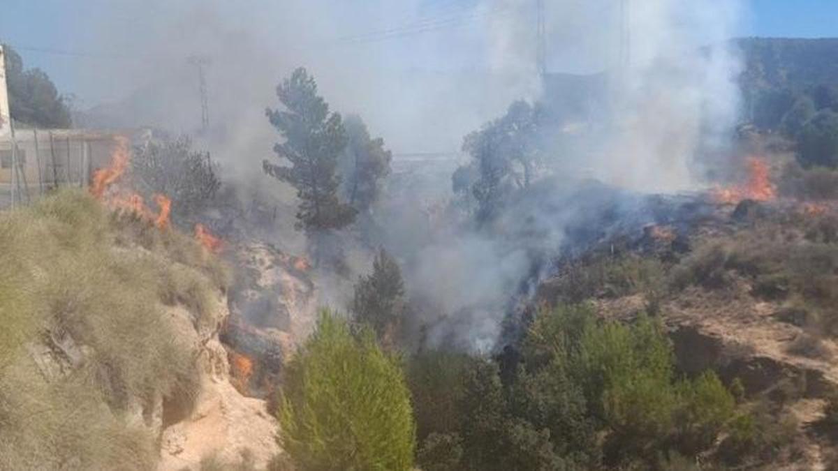 Incendio forestal en Sax